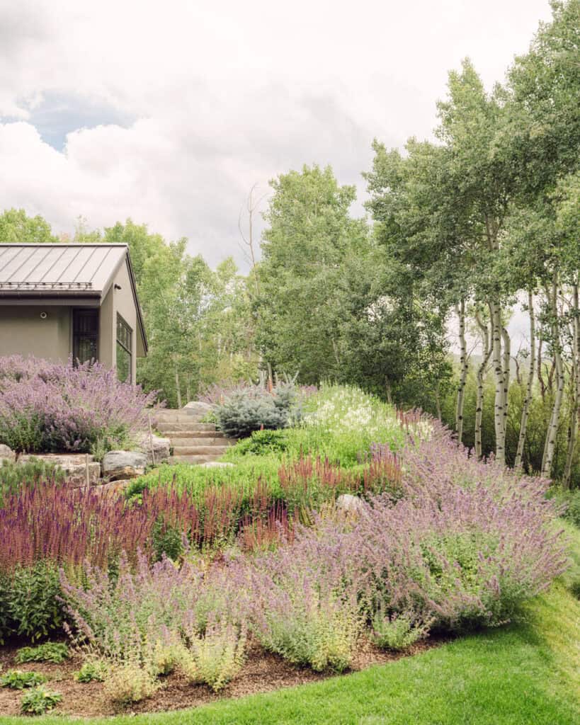 Moderization Of Owl Creek Family Estate - Matter Interior Design